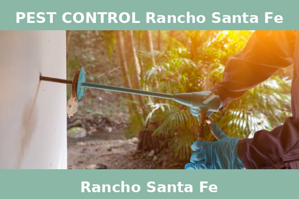 PEST CONTROL Rancho Santa Fe